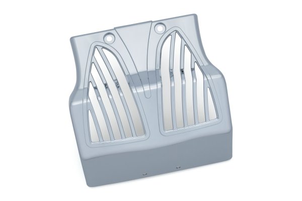 画像2: チンフェアリング  (2)