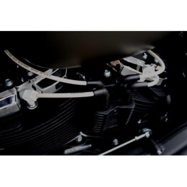 画像3: TAYLOR 8mmカスタムプラグコード 2018年以降ソフテイル用(全3色) (3)