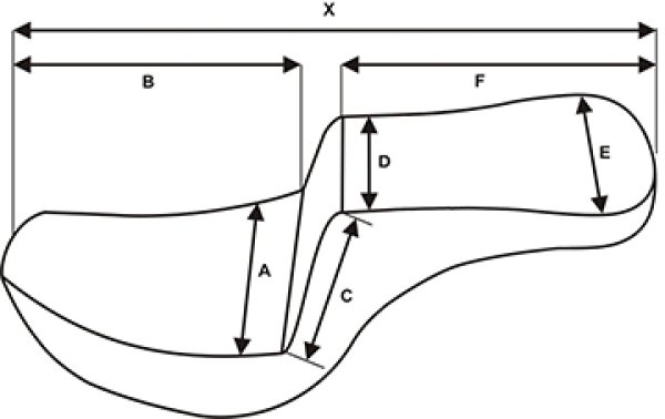 画像7: ステップアップシート ツアータイプ (7)