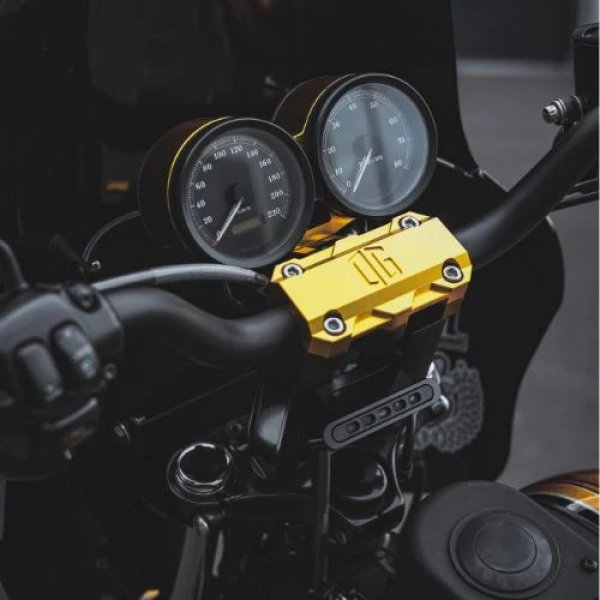 画像2: OGライザー用インジケーターマウント (2)