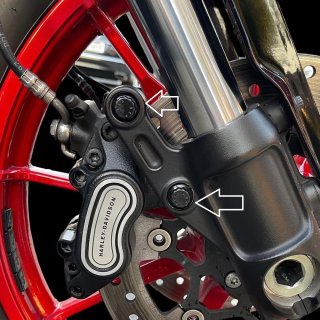 Thrashin デジタルメーターライザー用 ARP ステンレスボルトキット