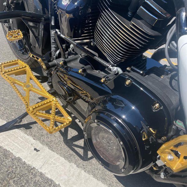 画像2: Bamco M8バガー用 ARP ステンレスボルトプレミアムキット (2)