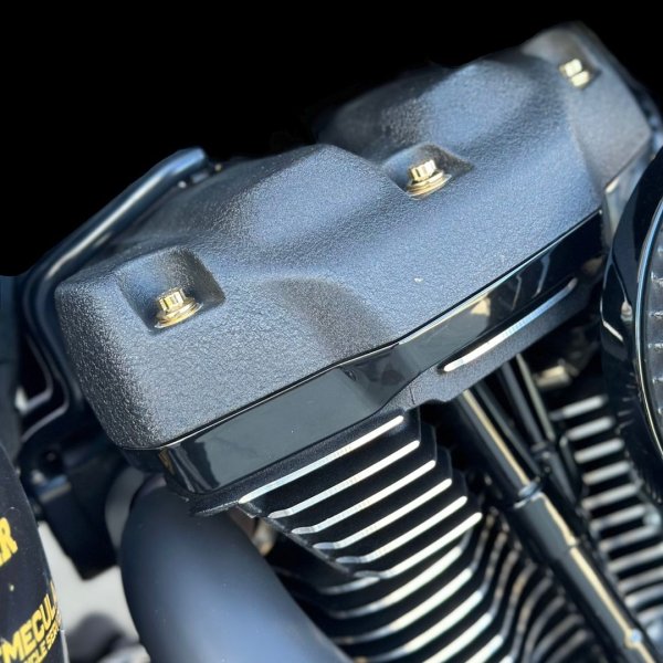 画像2: M8ソフテイル エンジン&ミッションARP ステンレスボルトキット (セット割) (2)