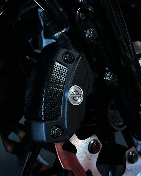 画像2: Bamco キャリパーピンチボルト 2008年以降のツーリングモデル用 (2)