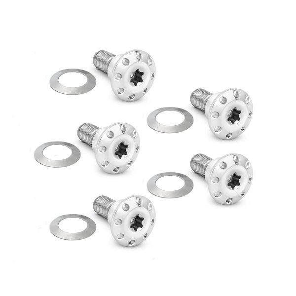 画像2: Ness チタンブレーキローターボルト ダイナ/V-Rod 用 (2)