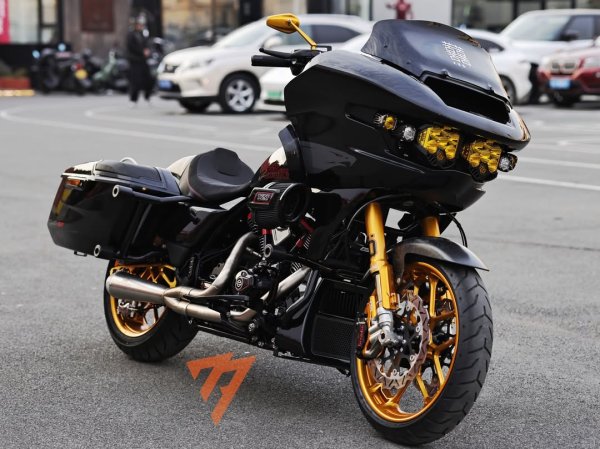 画像3: Baja Designs LP6 Pro マウントキット 23.5年以降の新型ロードグライド (3)