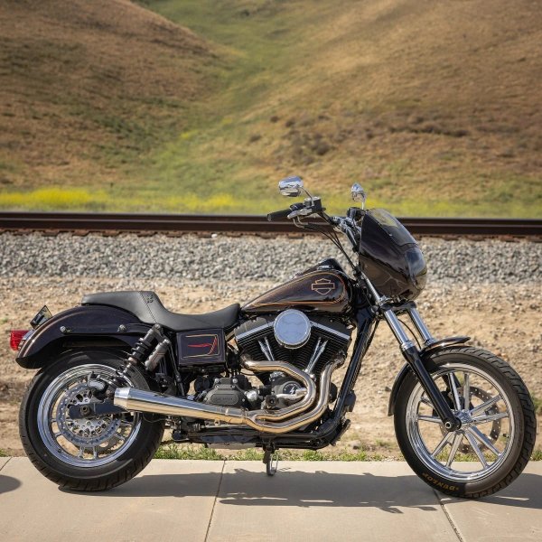 画像6: プロシリーズ Thrashin' ステップアップシート  06年以降のダイナ用 (6)