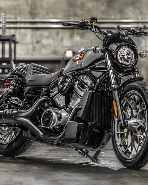 画像3: TR/LS(コンビ)ステップアップシート  (3)