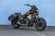 画像2: SADDLEMEN MINI FXRTカウル M8ソフテイル用 (2)