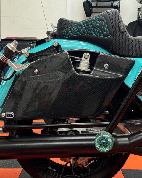 画像1: SANTORO サドルバックレスパネル (1)