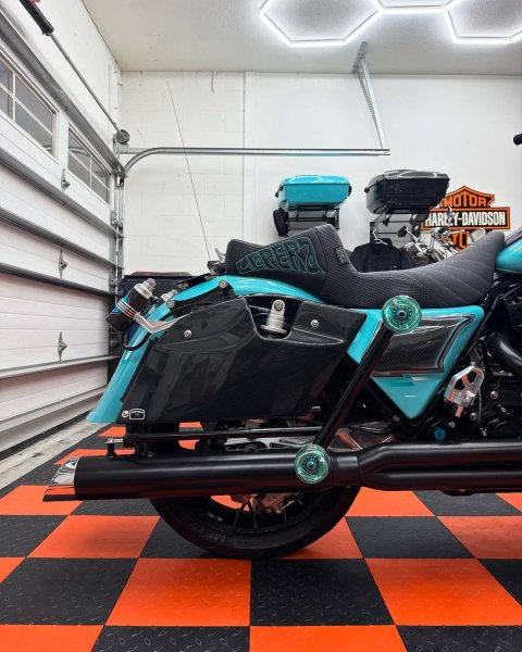 画像4: SANTORO サドルバックレスパネル (4)