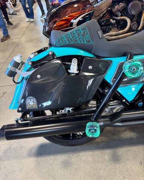 画像2: SANTORO サドルバックレスパネル (2)