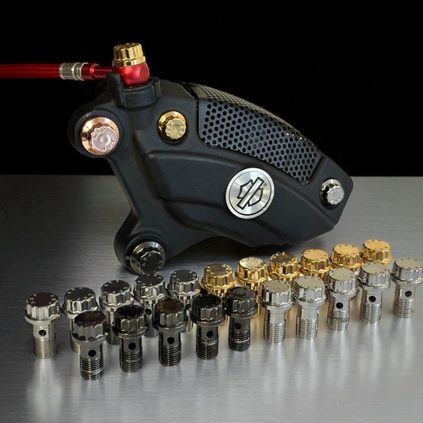 画像1: Bamco ARP ステンレスバンジョーボルト M10-1.0  (1)