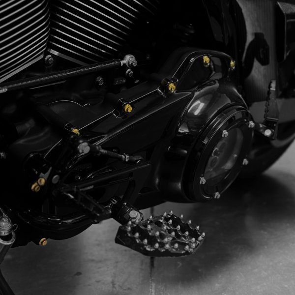 画像1: プライマリーケースARPボルトM8ツーリングモデル用 (1)