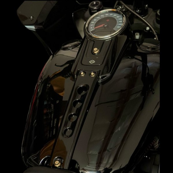 画像1: ファットボーイダッシュパネル ARP ステンレスボルトキット  (1)