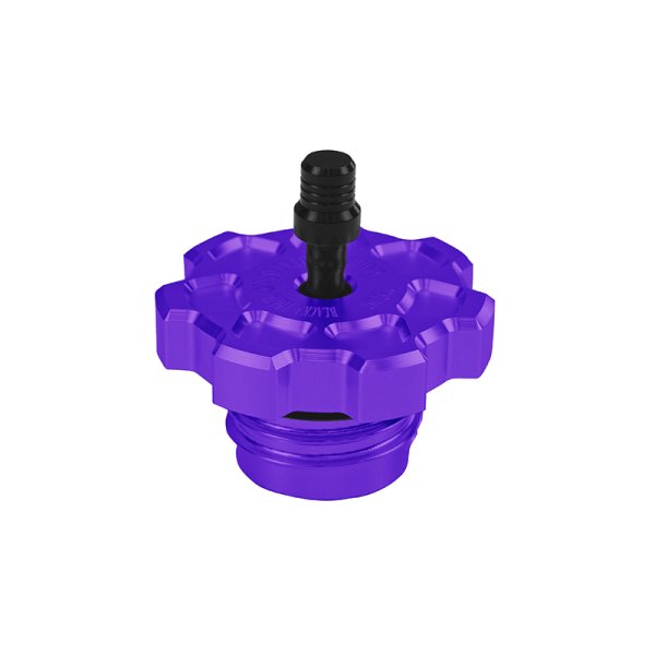 画像7: 7スポークガスキャップ (7)