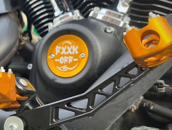 画像1: M8 ポイントカバー 2017-2023年用 (1)