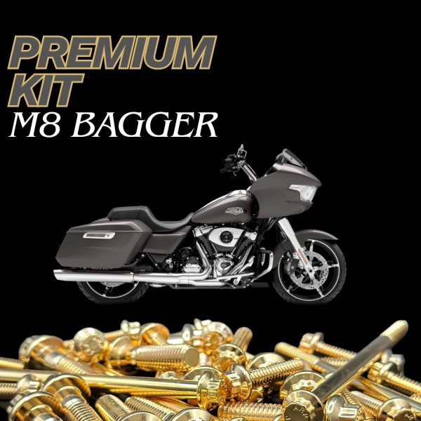 画像1: M8 ツーリング用 ARP ステンレスボルトプレミアムキット (1)