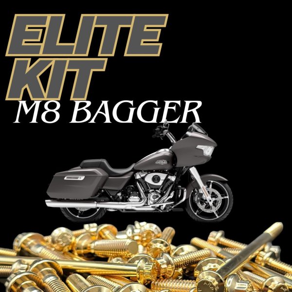 画像1: M8 ツーリング用 ARP ステンレスボルトエリートキット  (1)