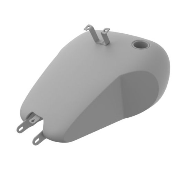 画像6: ホールショット カスタムガスタンク 2020-2021年FXLRS用 (6)