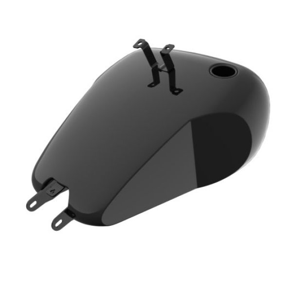 画像5: ホールショット カスタムガスタンク 2020-2021年FXLRS用 (5)