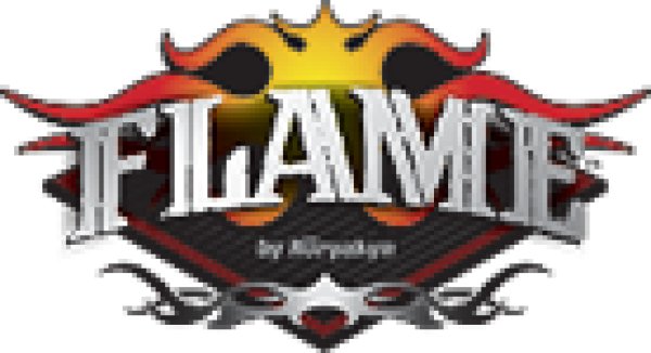 画像3: Flamin' Shift Peg (3)